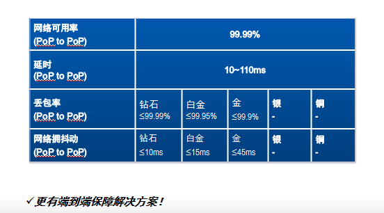 IP VPN